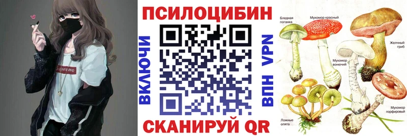 где продают наркотики  Соликамск  Галлюциногенные грибы Psilocybe 